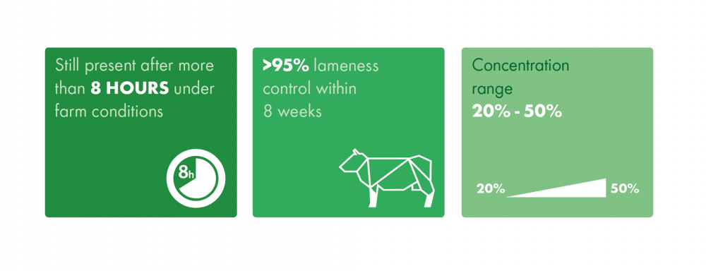Intra Hoof-fit Liquid - facts and figures