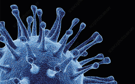 Intracare - Intra Hydrocare effectivity against Avian Influenza