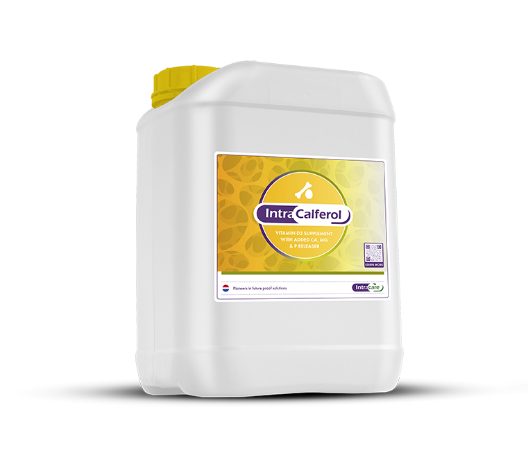 Intracare_Intra_Calferol_nutrient_can_supplement