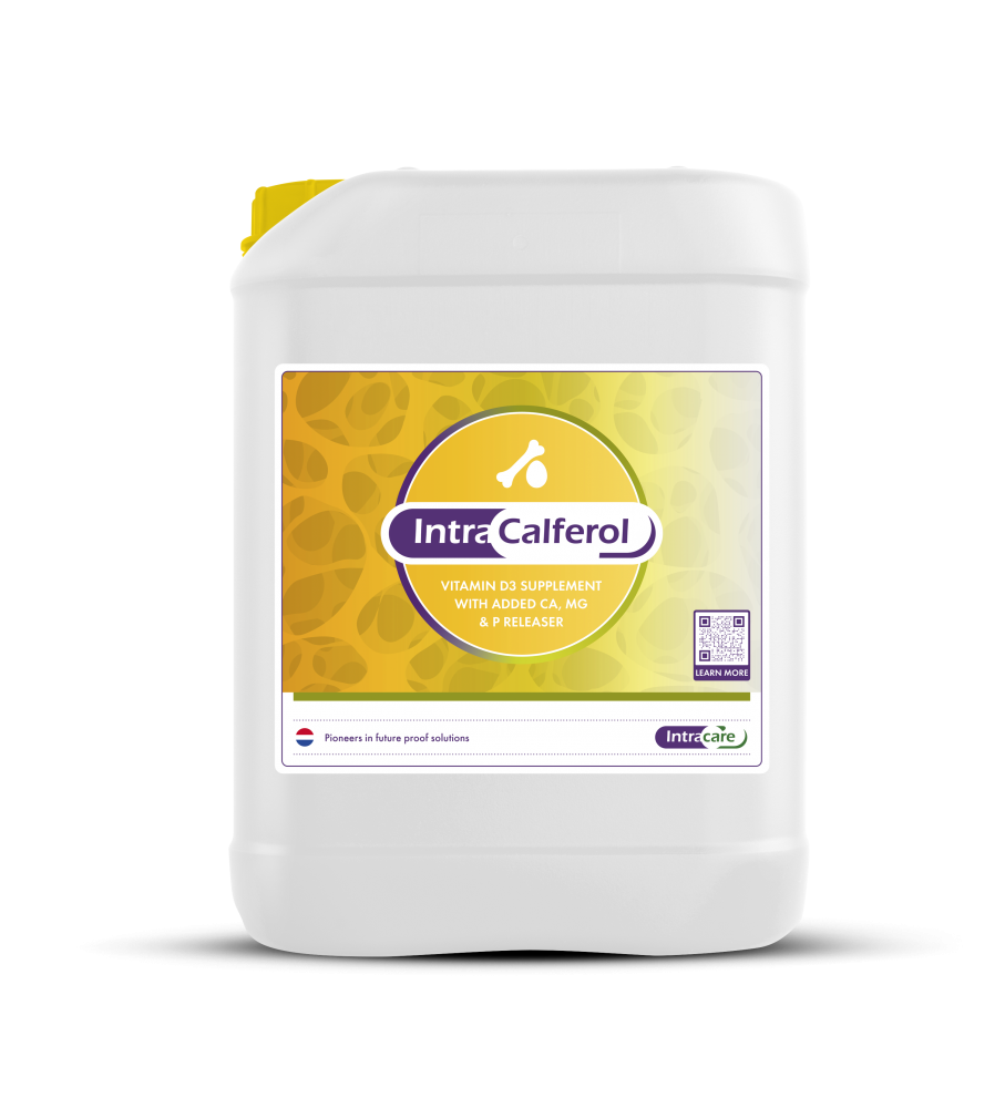 Jerrycan Intra Hoof-fit Bath 