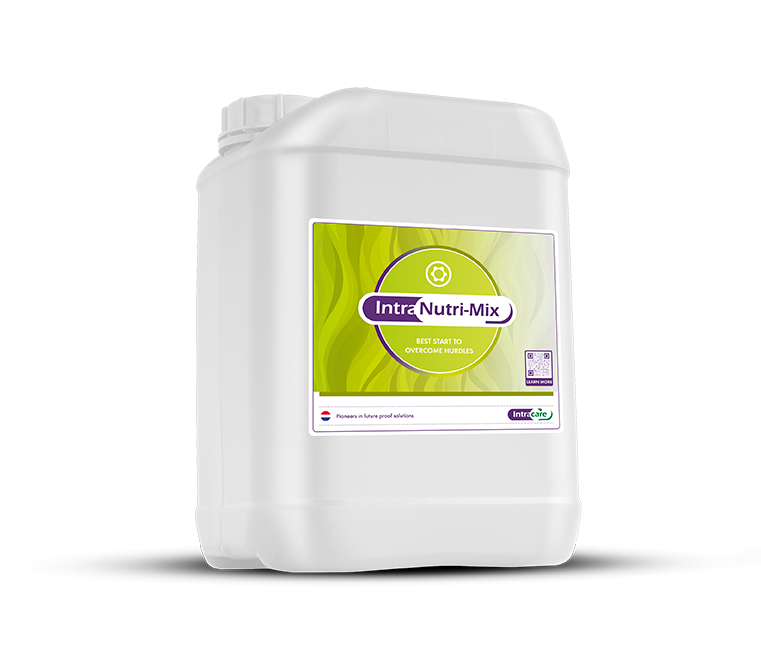 Intracare_Intra_nutrimix_nutrient_can_supplement