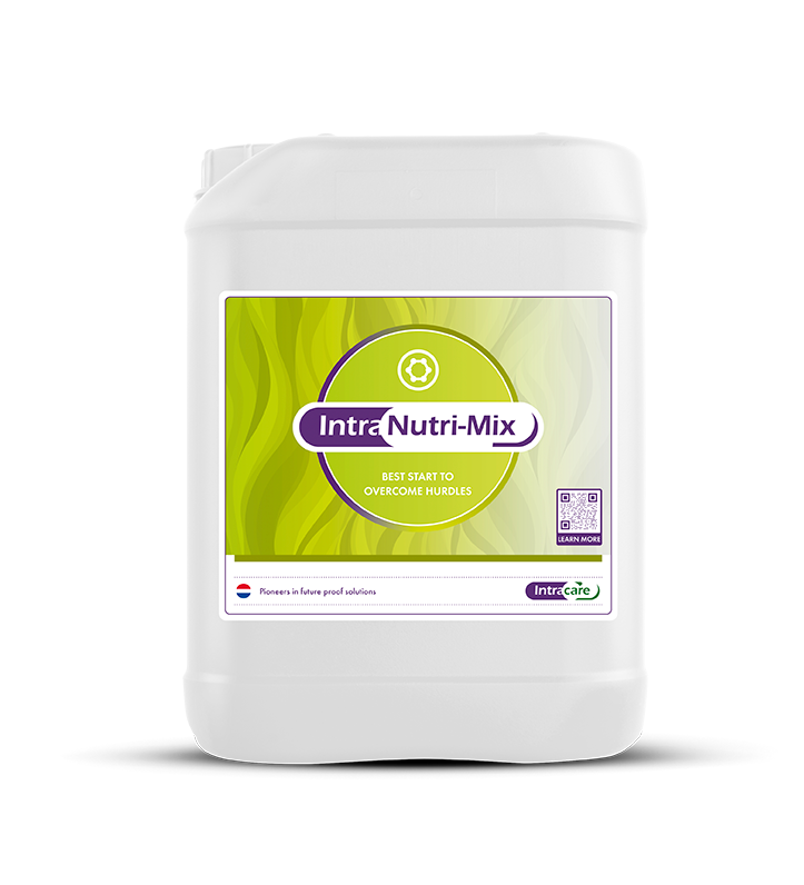 Jerrycan Intra Hoof-fit Bath 