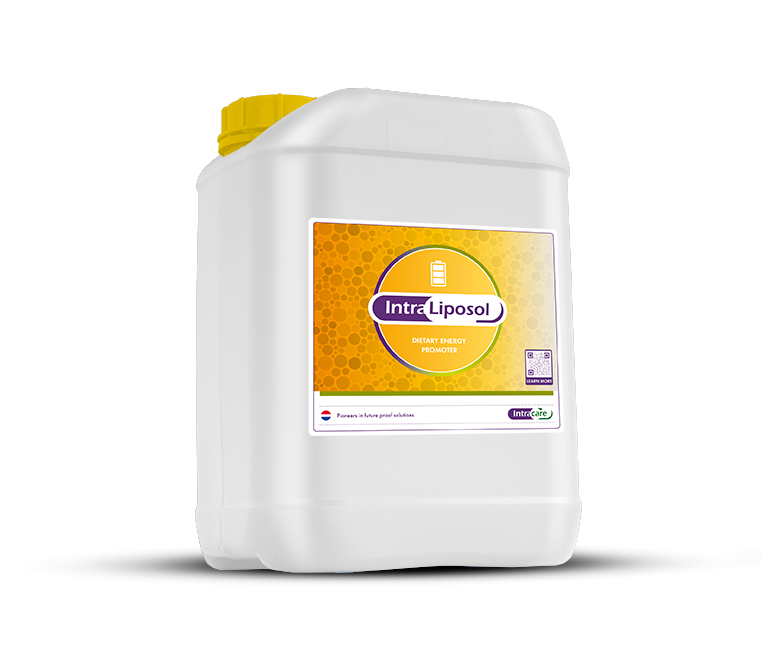 Intracare - optimal feed support with Intra Lipsol for poultry, chicken, pigs, broilers, layers and chicks
