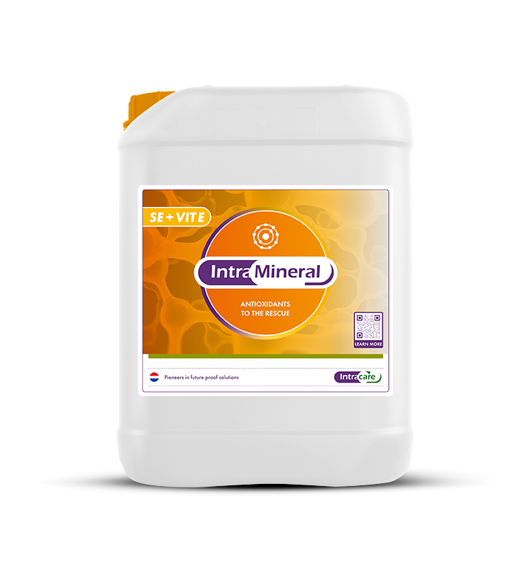 Jerrycan Intra Hoof-fit Bath 