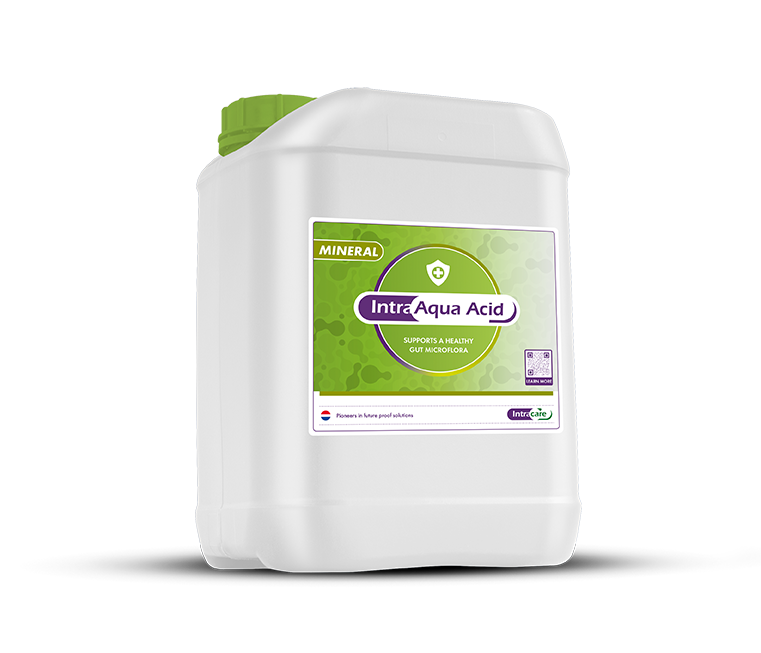 Intracare_Intra_aqua_acid_nutrient_can_supplement