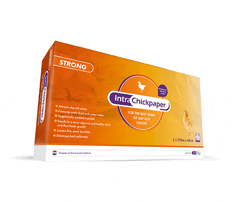 Intracare_chickpaper_products_packs
