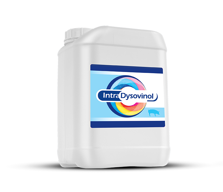Intracare_Intra_Dysovinol_nutrient_medicine_Brachyspira