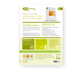 Mock-up image of the Intra Mineral Duo product leaflet