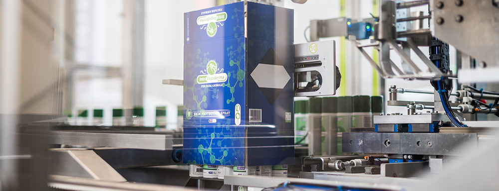 Een geautomatiseerde verpakkingsmachine verpakt Intra Repiderma-sprayflessen in een blauw-groene merkdoos. De machine maakt deel uit van een industriële productielijn, waarbij mechanische armen en transportbanden het verpakkingsproces afhandelen. Op de achtergrond staan meerdere groene sprayflessen uitgelijnd, klaar om verpakt te worden
