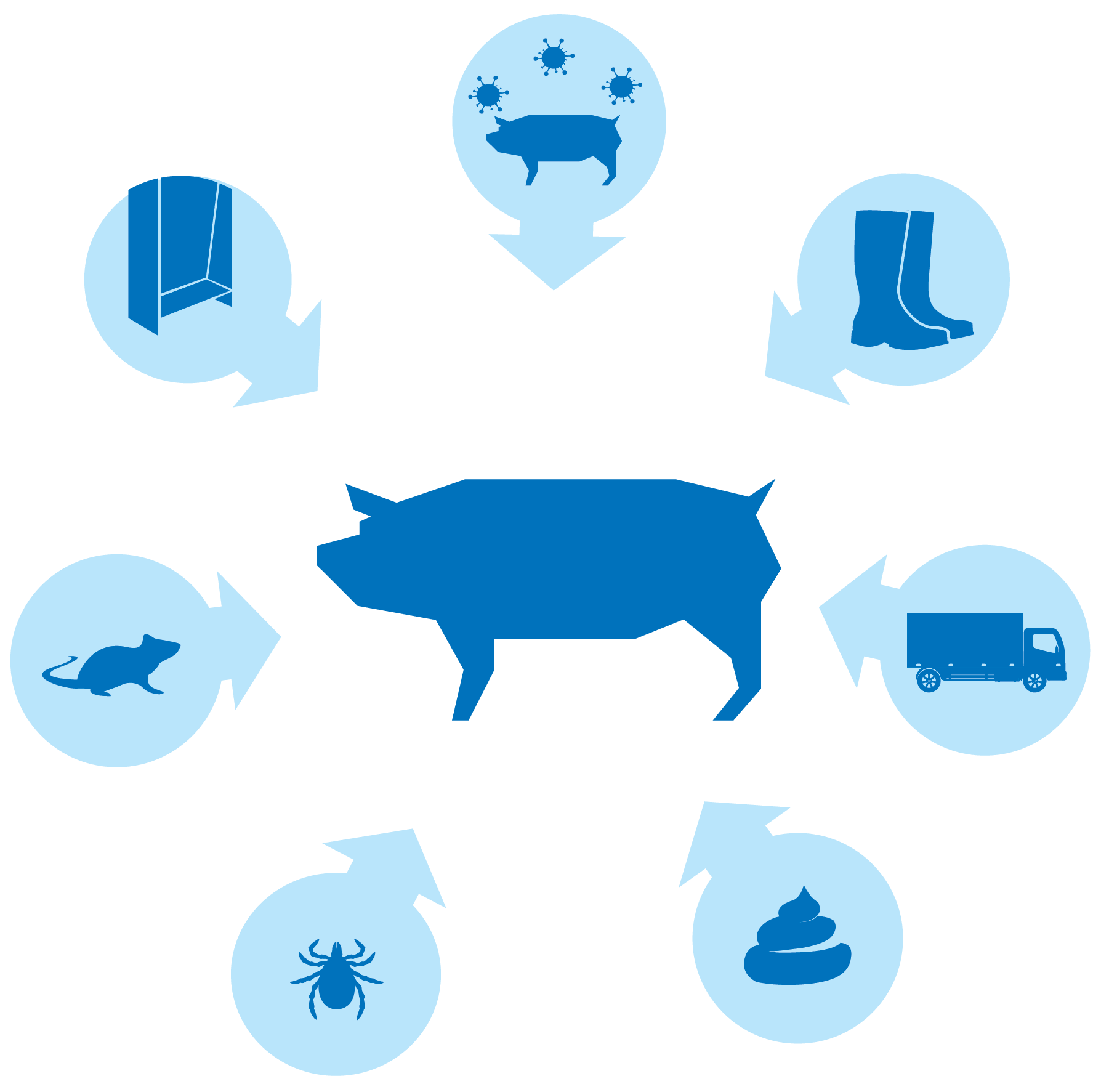 Domesticated birds can become infected by the flu through several routes:  Direct contact with infected (wild) birds Contaminated surfaces, such as equipment, housing, surrounding areas Infected materials, such as footwear, clothing, crates, and tools Contaminated vehicles or transport equipment Airborne dust from infected barns or surrounding areas Pests carrying the virus Contaminated feed and water   ﻿