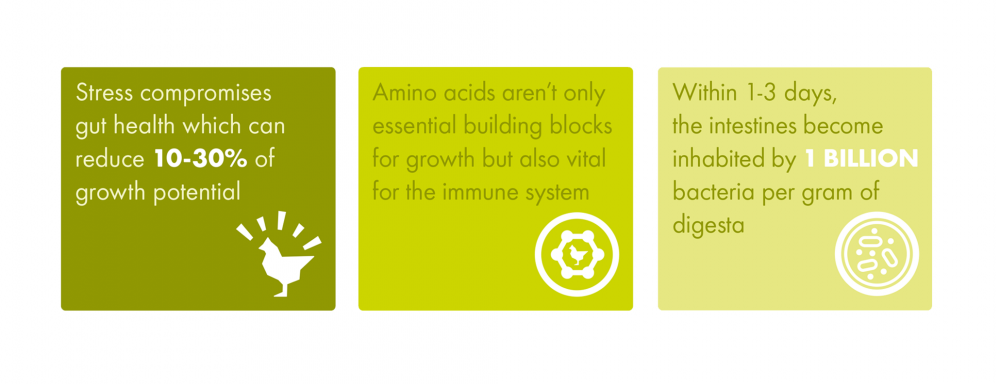 Intra Nutrients - Nutrimix - facts and figures