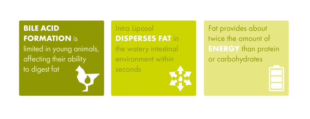 Intra Liposol  - facts and figures