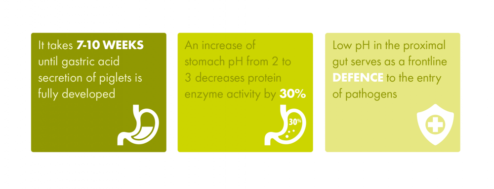 Intra Aqua Acid Mineral - facts and figures