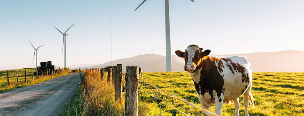 Intracare - Committed to sustainability 